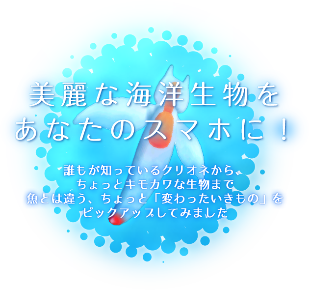 美麗な海洋生物をあなたのスマホに！誰もが知っているクリオネから、ちょっとキモカワな生物まで。魚とは違う、ちょっと「変わったいきもの」をピックアップしてみました