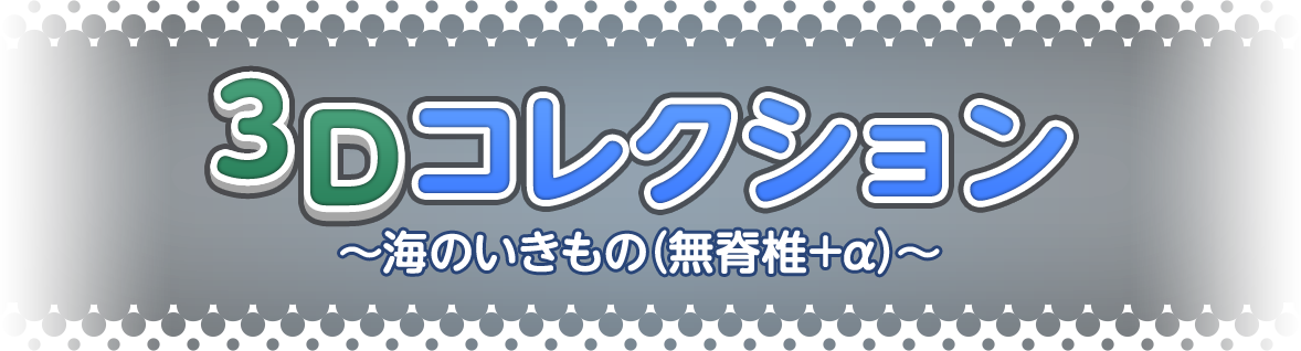 3Dコレクション ～海のいきもの（無脊椎＋α）～